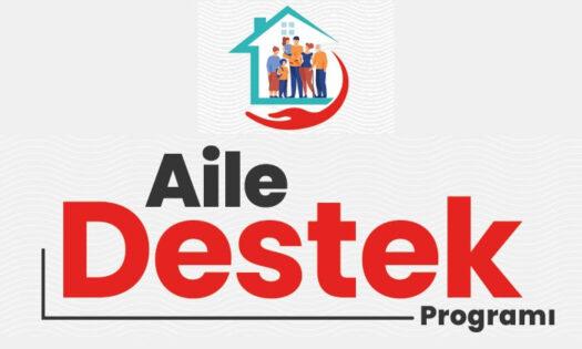 Geçinemeyen Ailelere Sosyal Yardımlar 2024
